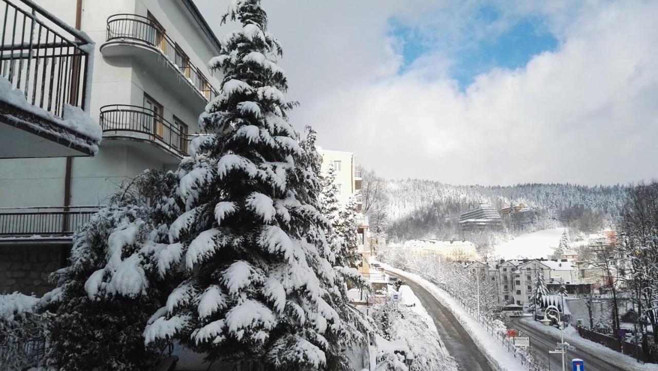 Bed and Breakfast Domy Wczasowe Tryumfy Криниця-Здруй Екстер'єр фото